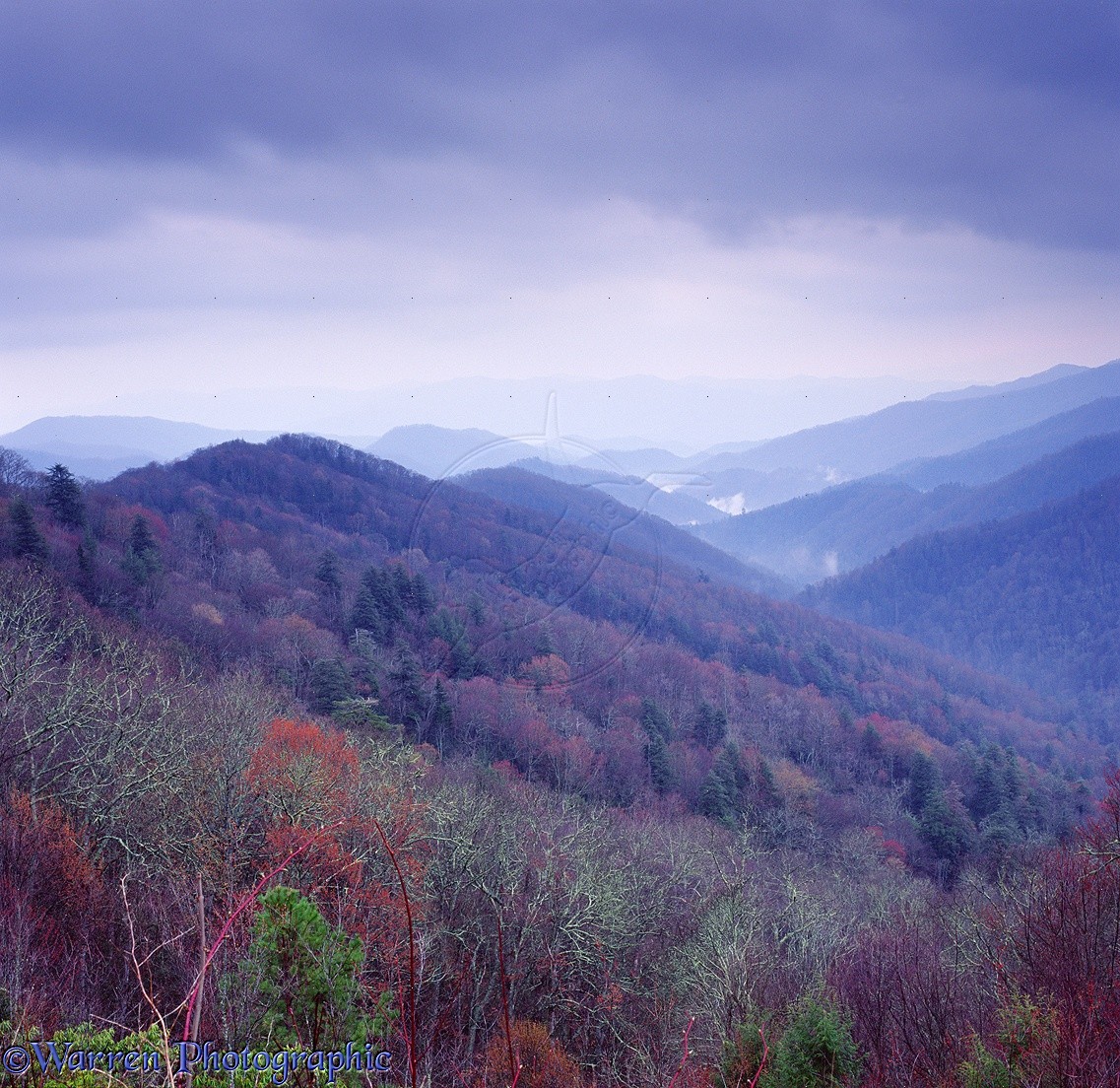 free download great smoky mountains