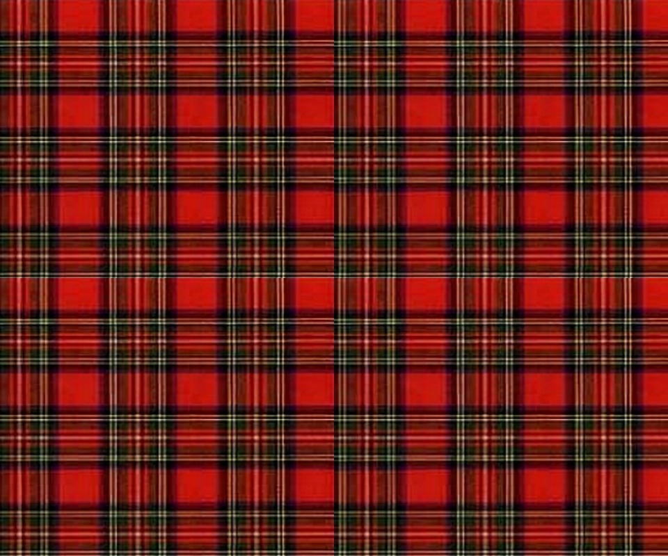 Red Plaid Background Picnic Pla