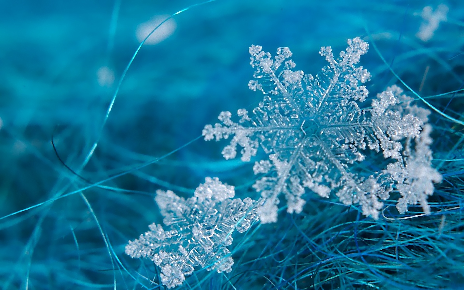 Snowflake Wallpaper Backgrounds