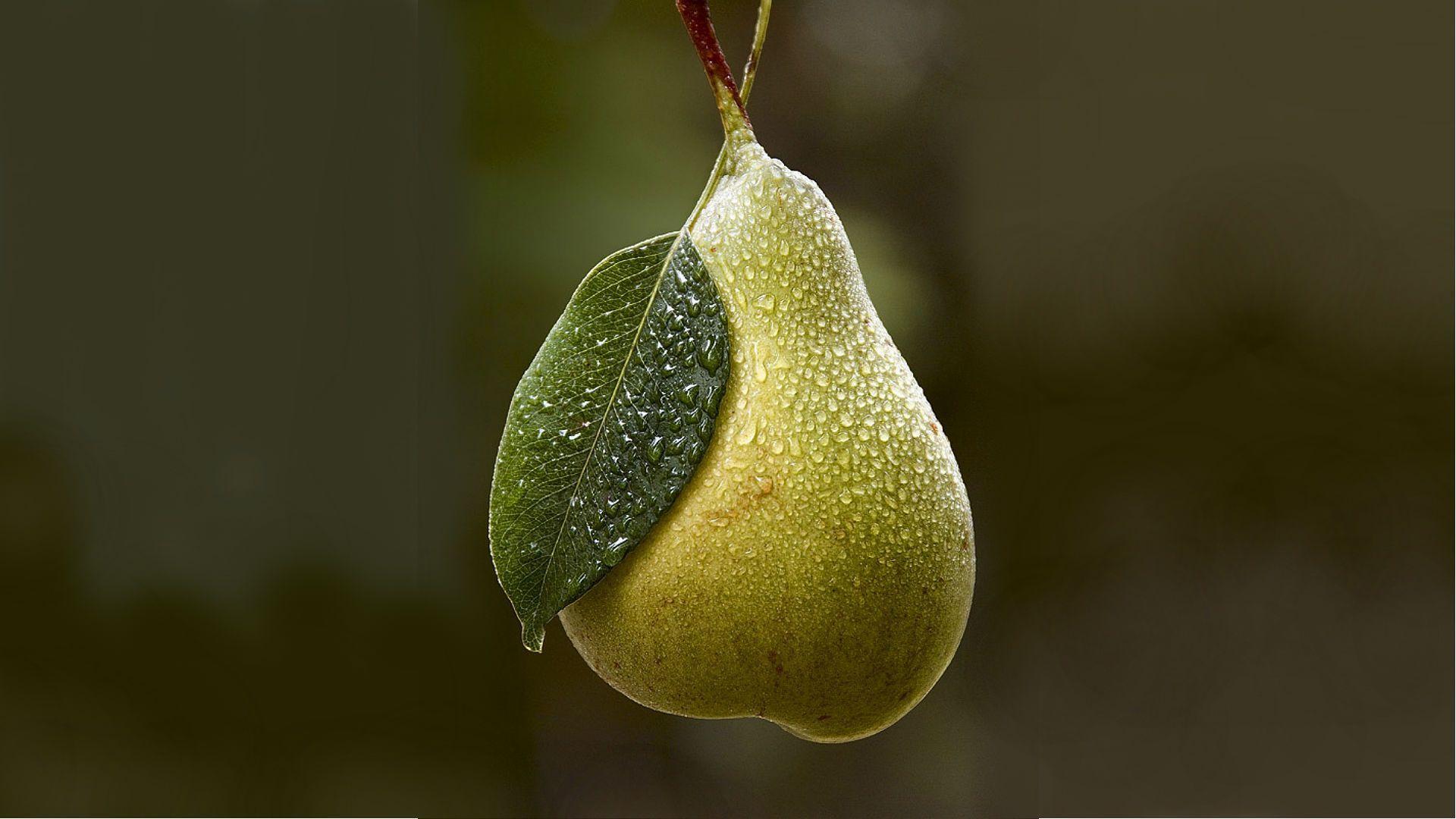 Pear Wallpaper