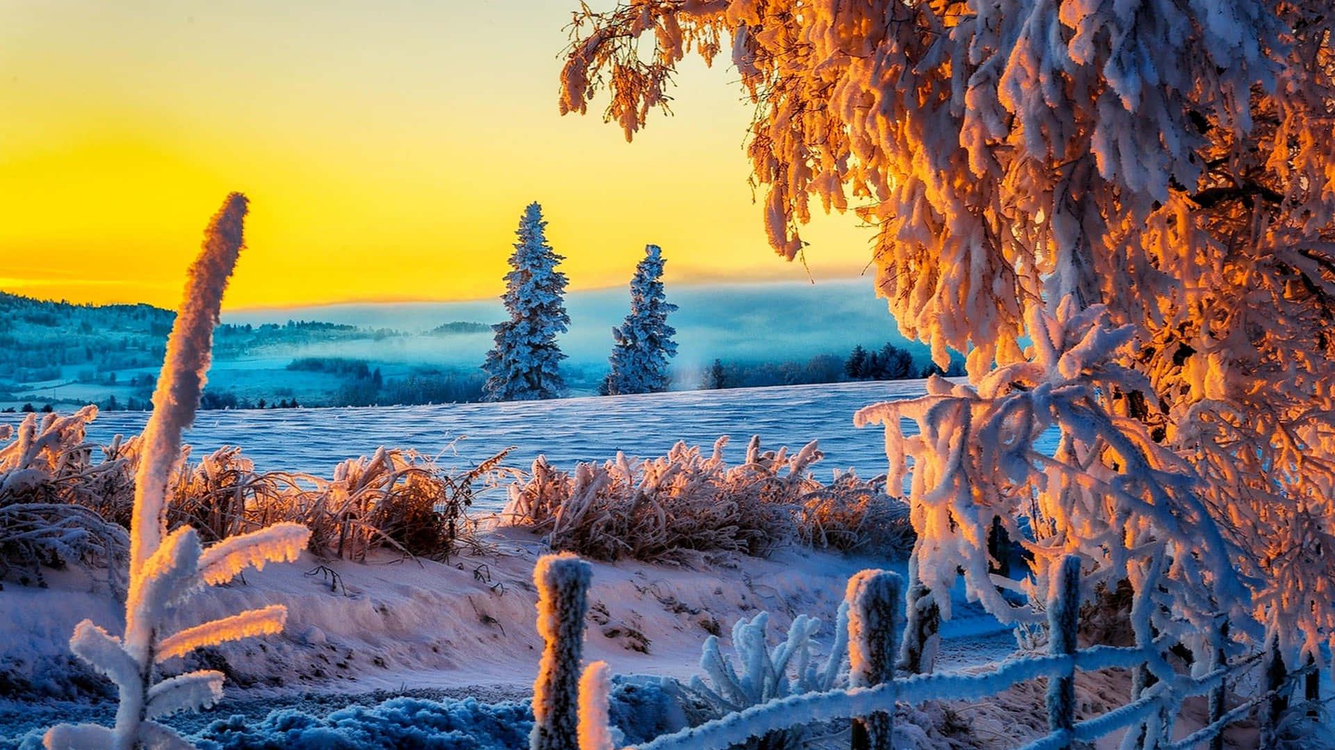 Winter Sunset A Snowy Landscape Bathed In The Warm Glow