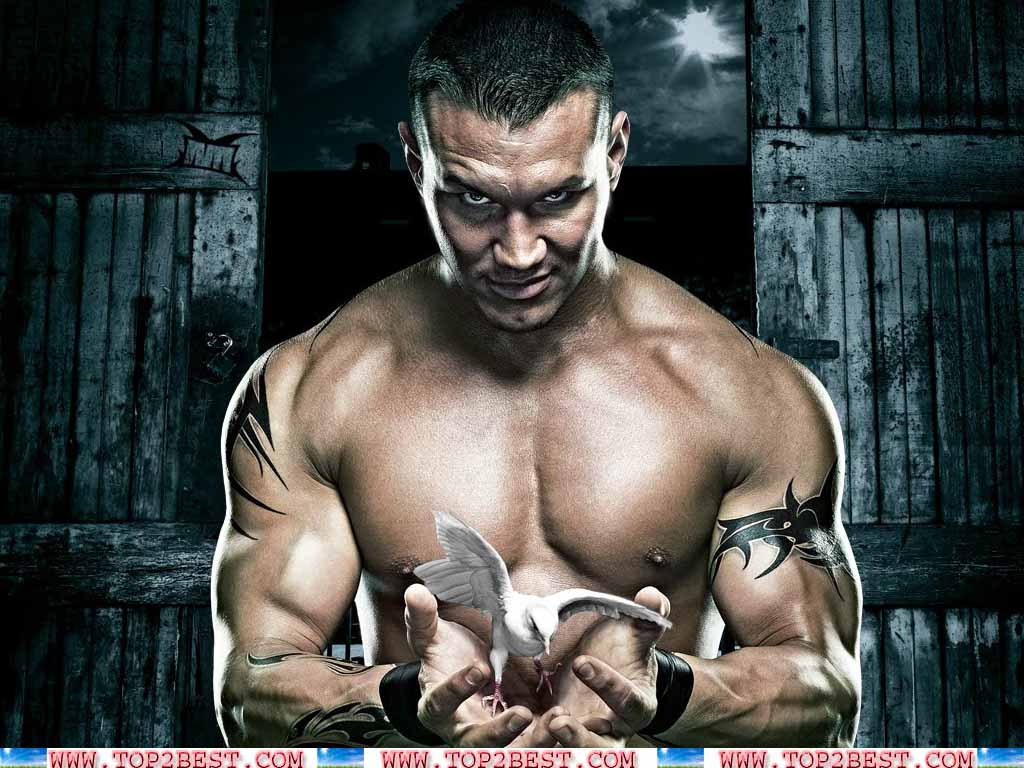 Randy Orton The Viper