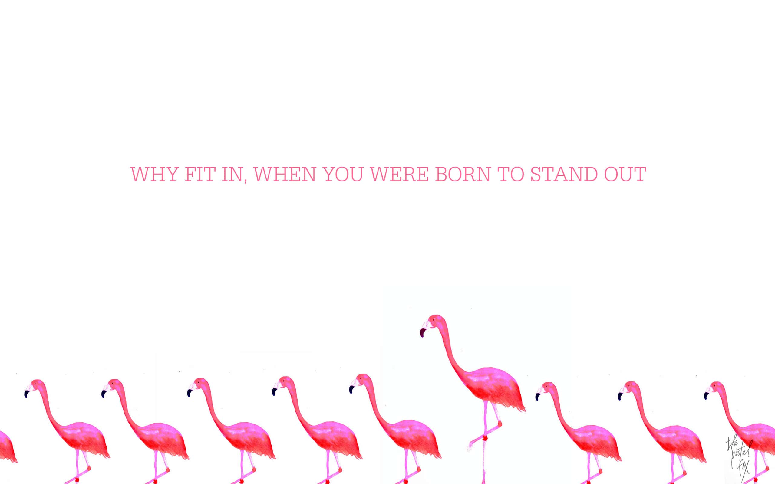Flamingo Desktop Background Wallpaper