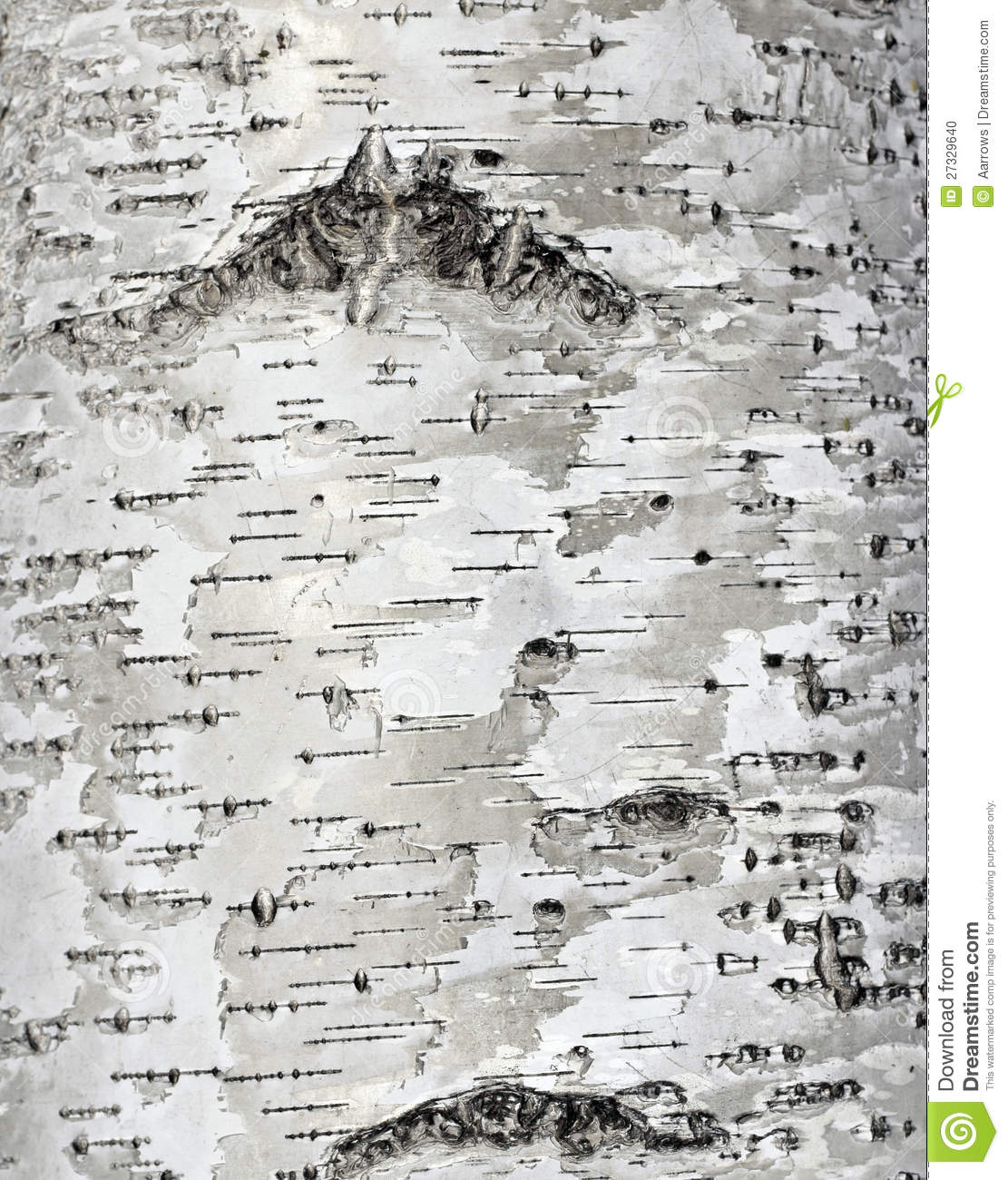  and white textured wallpaper birch 2016   Textured Brick Wallpaper
