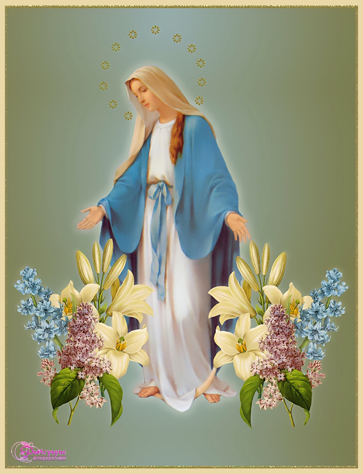 Virgin Mary Pictures And Wallpaper Feast Of The Immaculate Conception