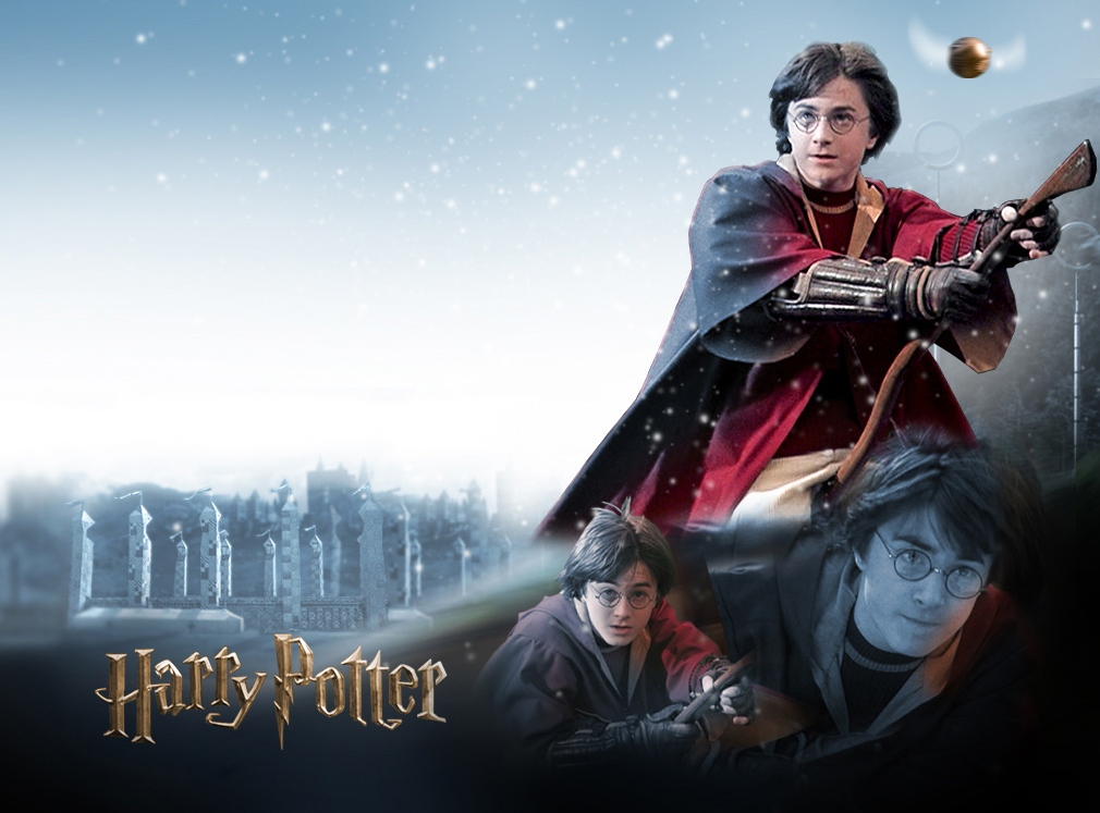 Harry Potter 3D Screensaver 1010x747