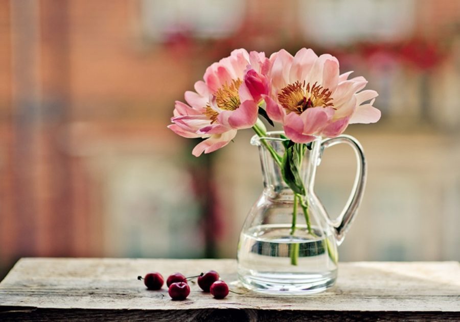 Pink Life Still Flowers Photography Vase Flower Desktop HD