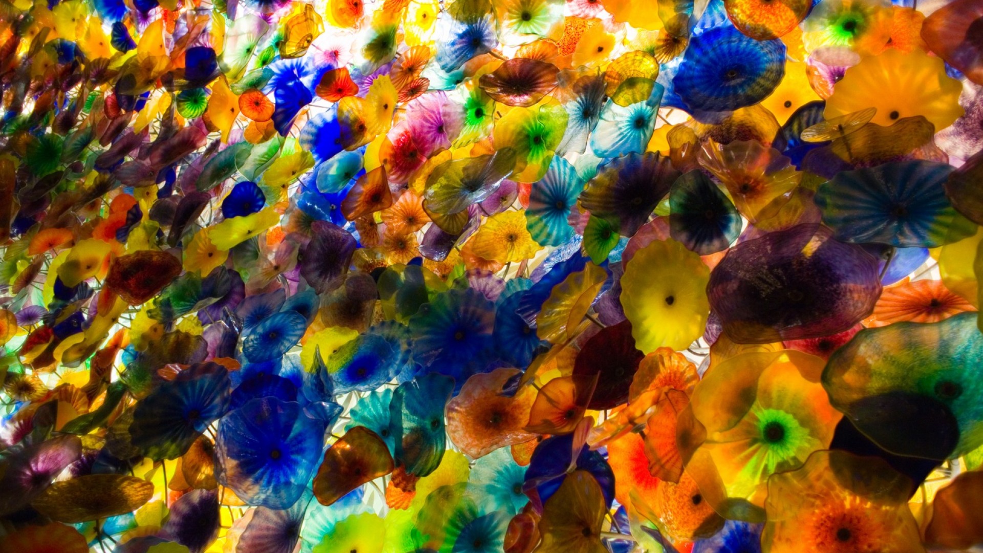 Screenheaven Dale Chihuly Desktop And Mobile