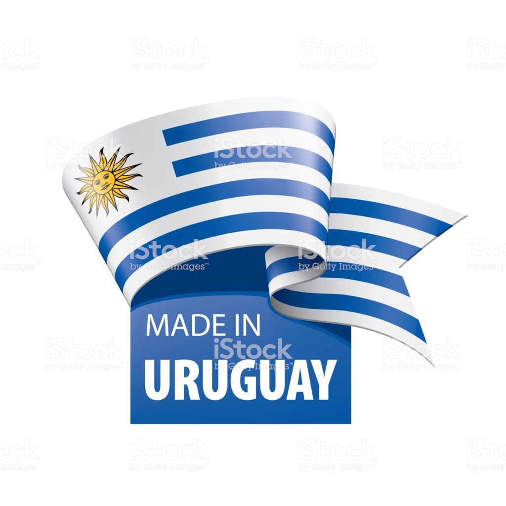 Free Download Uruguay Flag Vector Illustration On A White Background