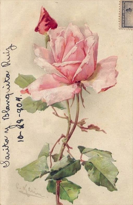 Beautiful Vintage Rose Postcard French Paris Letter