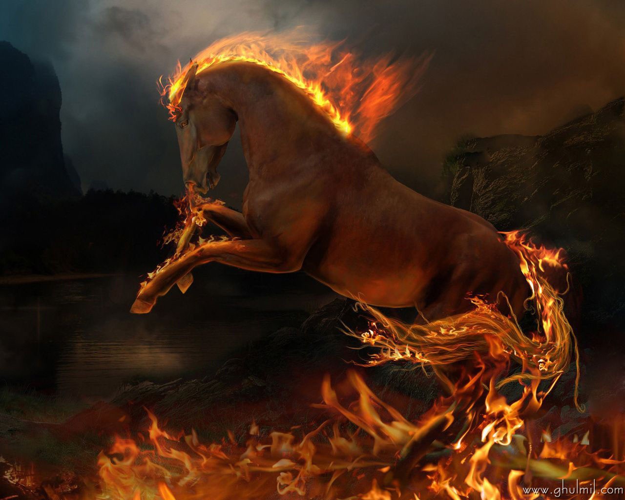 Amazing 3d HD High Quality Resolution Fire Horse Wallpaper For