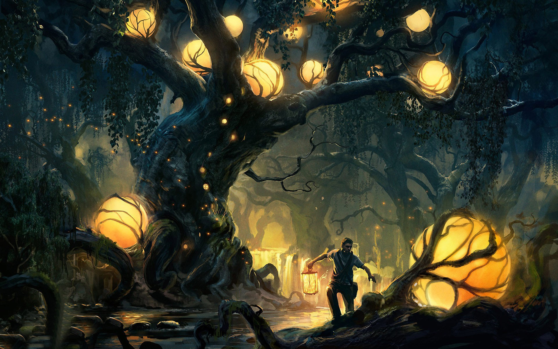 Enchanted Forest Wallpaper HD Background Desktop Wide