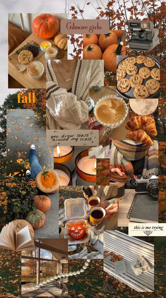 Harvest Harmony Collages Of Autumn S Beauty Latte Pumpkin
