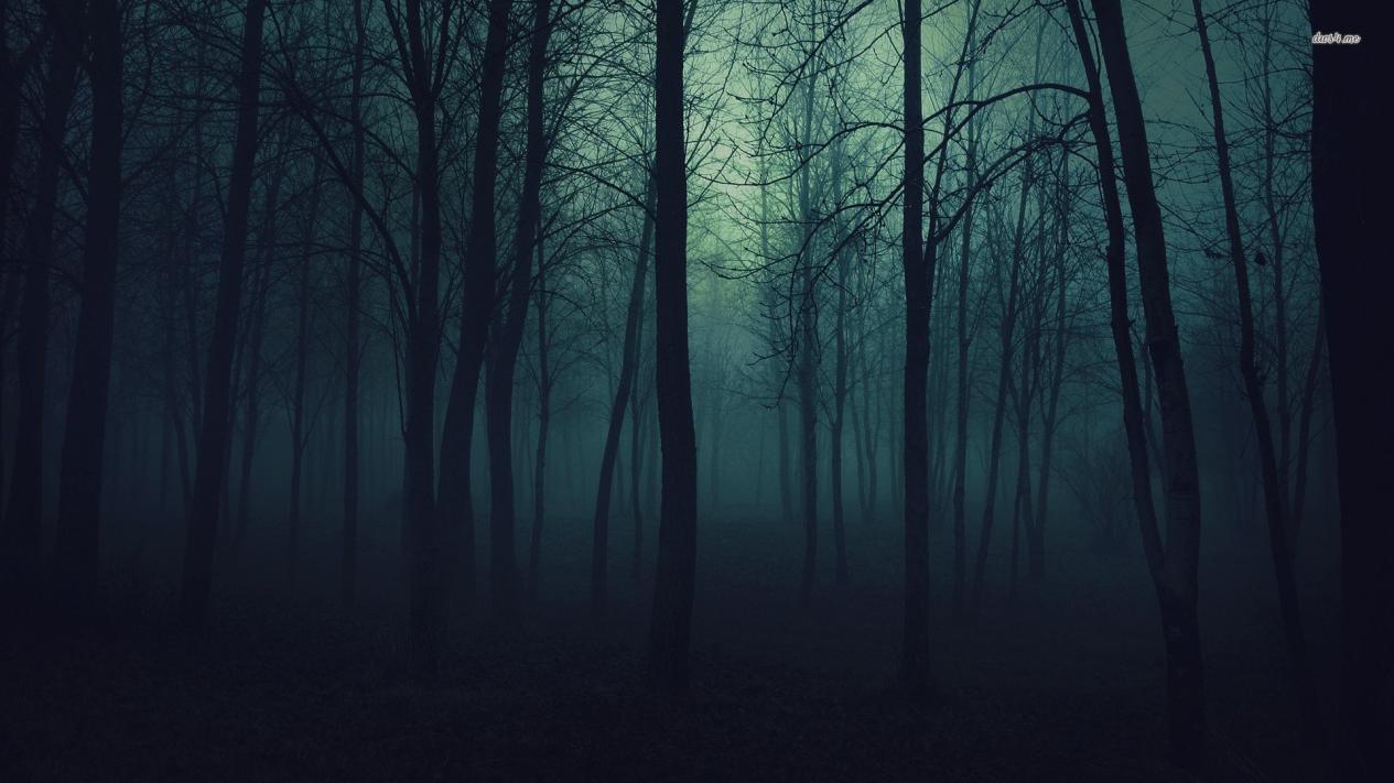  share your wallpapers 12464 dark forest 1920x1080 nature wallpaperjpg