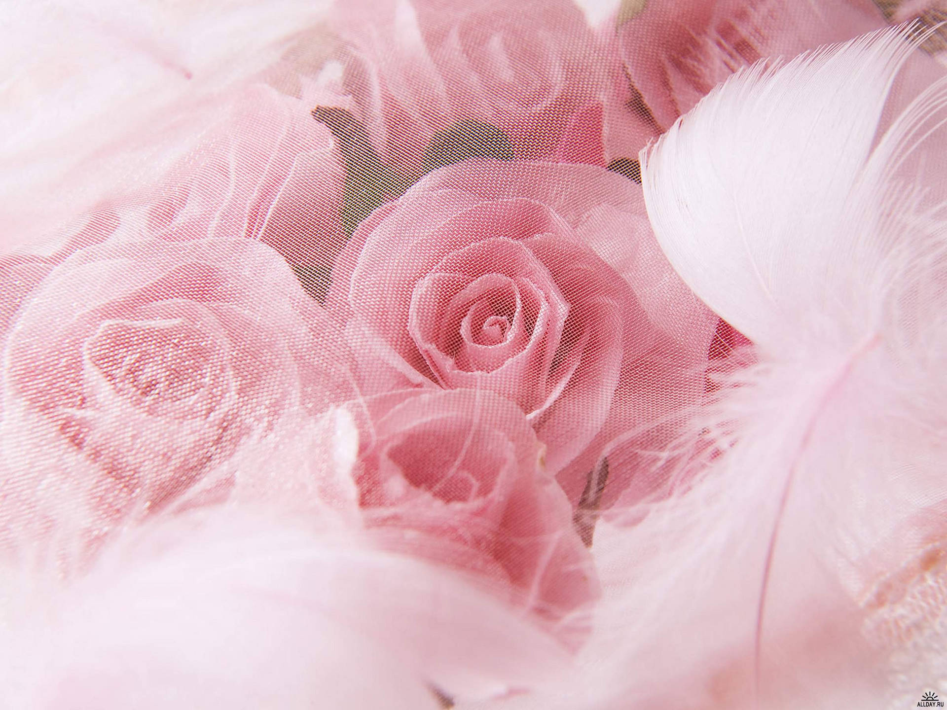 Top Wedding Aesthetic Wallpaper Full HD 4k To Use