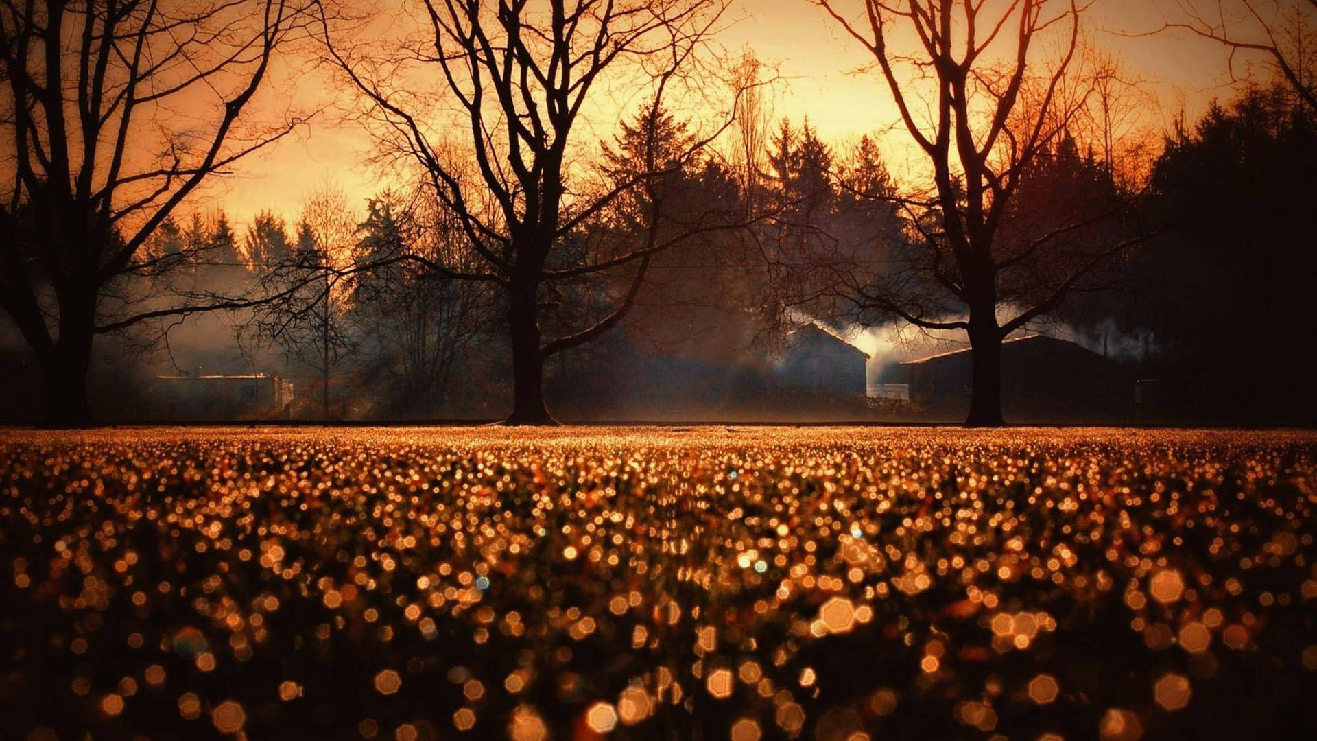 Cute Fall Wallpaper