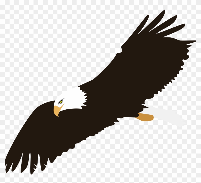 Soaring Bald Eagle Vector Clipart Image With White