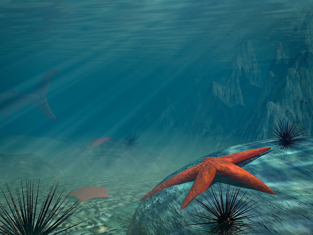 Under The Sea Wallpaper Background Theme Desktop
