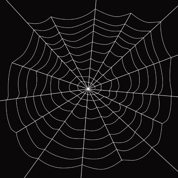 Spider S Web Stock Photos Rgbstock Image