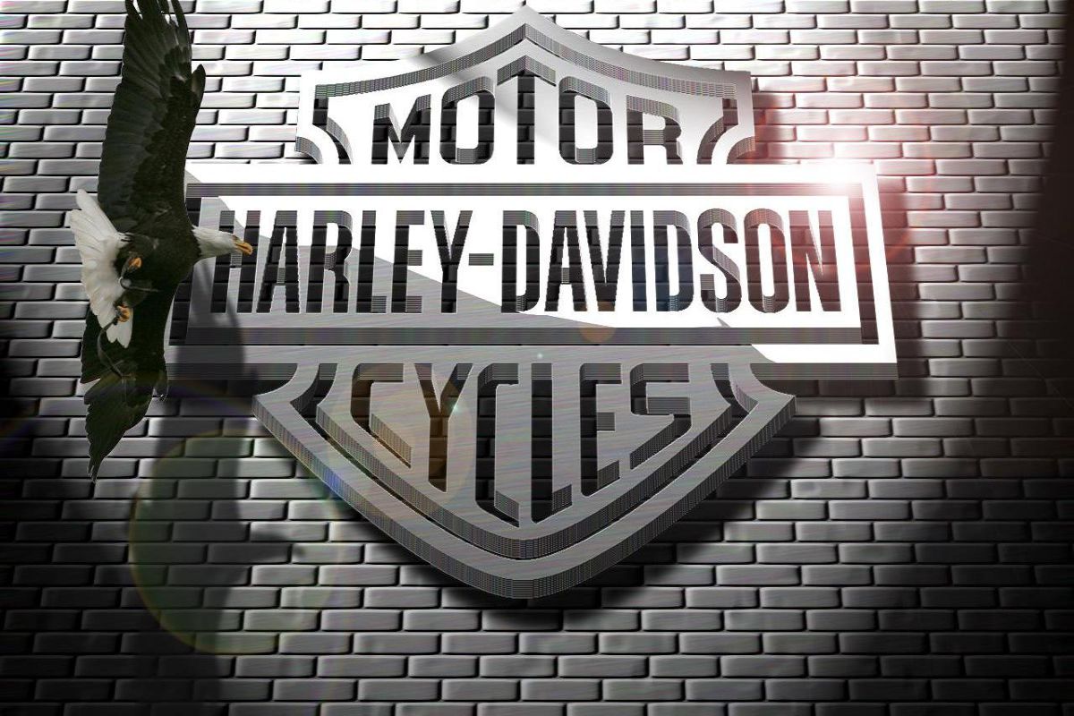 Harley Davidson Logo Aguila 3d Ladrillo Wallpaper