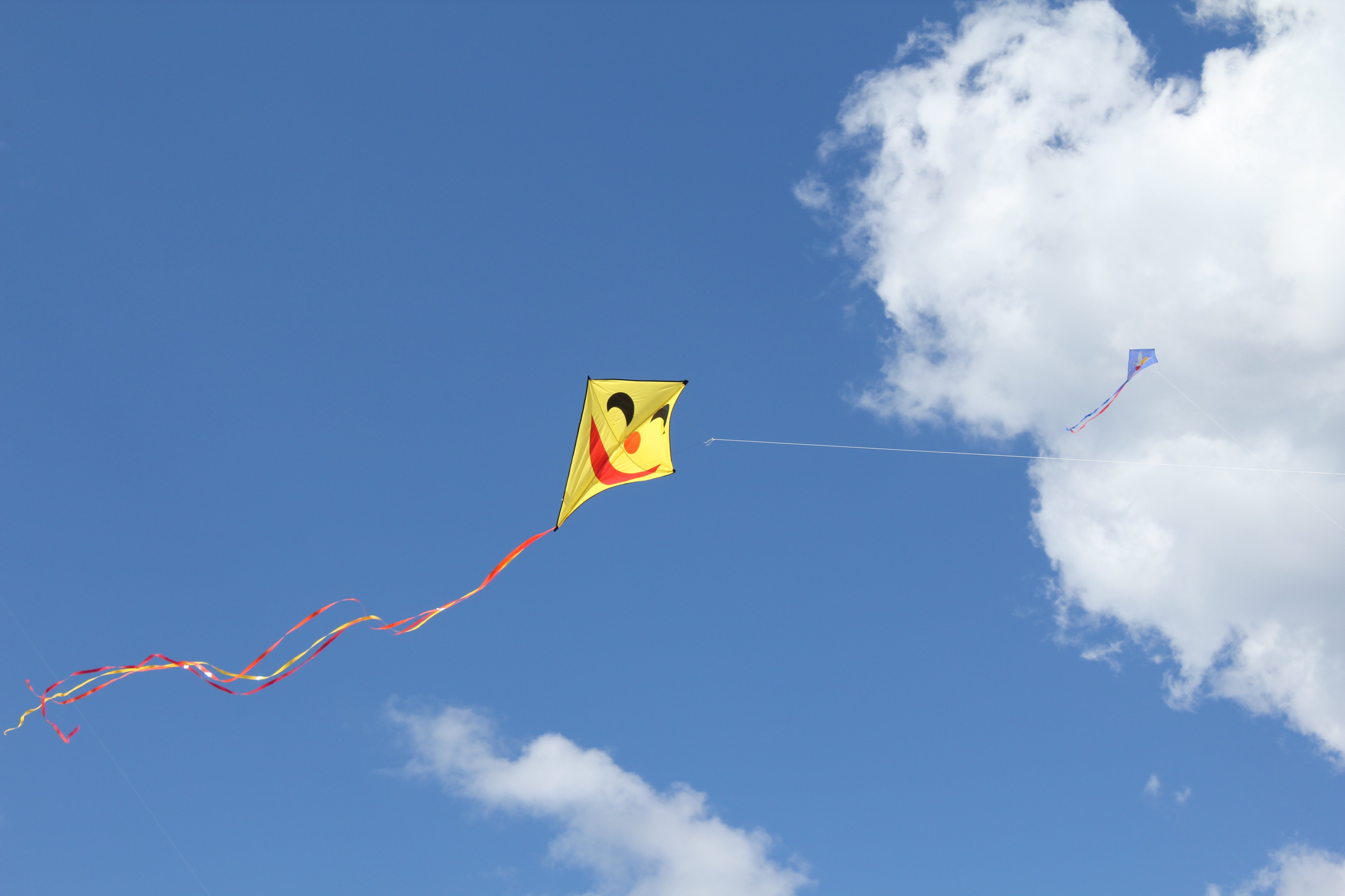 Free download kite flying bokeh flight fly summer hobby sport sky toy fun  wallpaper [5184x3456] for your Desktop, Mobile & Tablet | Explore 49+ Nexus  6 Kite Wallpaper | Kite Wallpaper, Kite