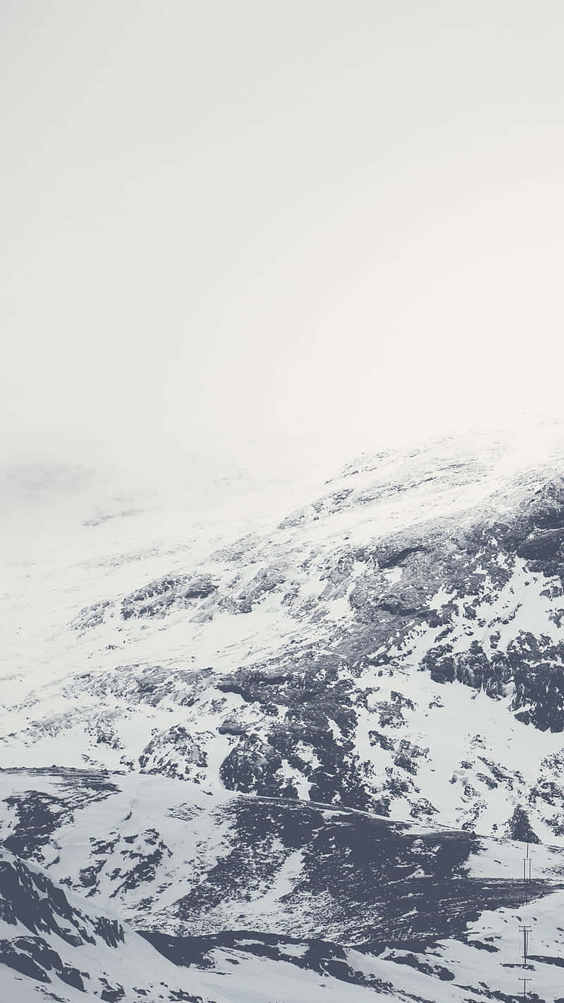 Simple Winter Wallpaper