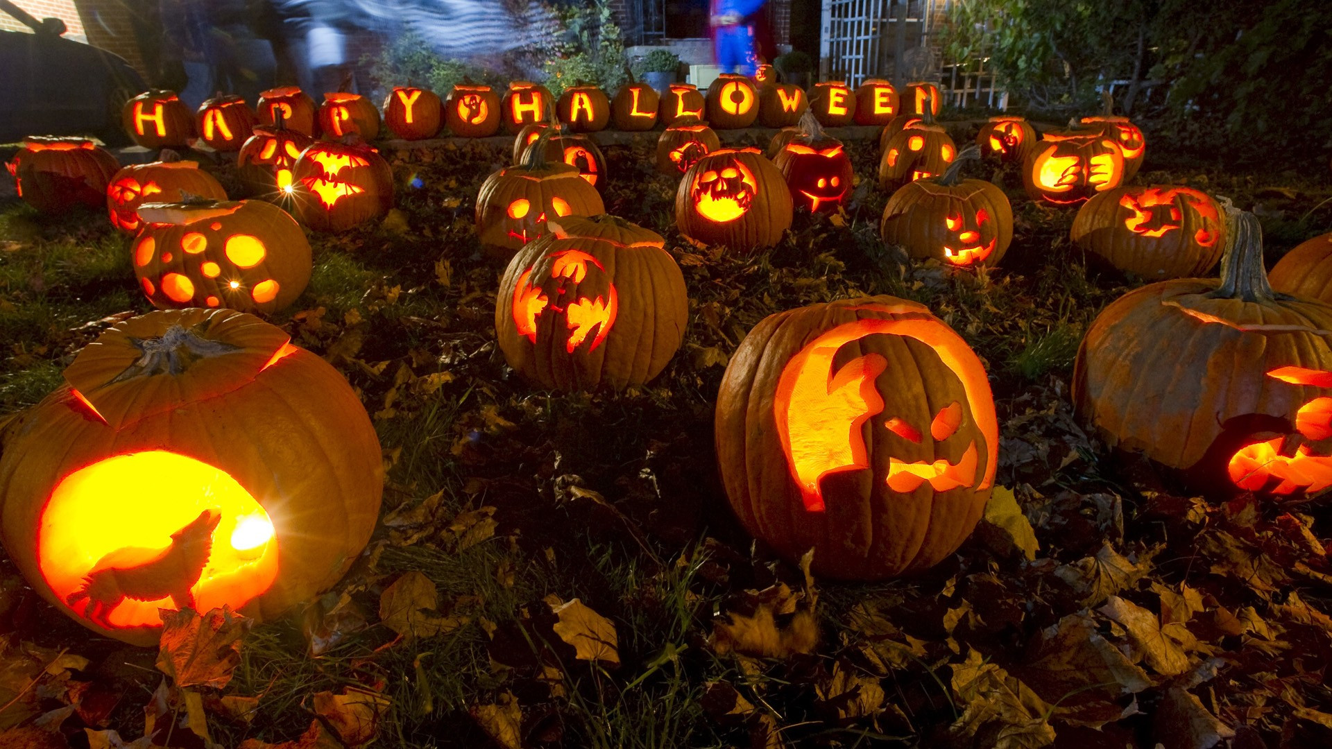 Fall Pumpkin Wallpaper