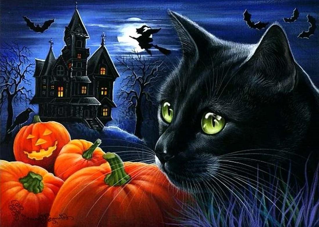 Black Cat Halloween Wallpaper Top