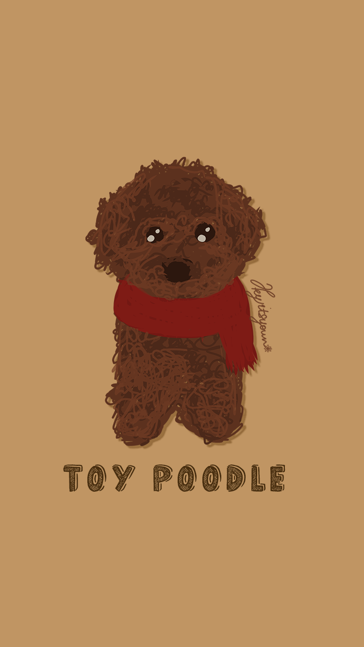 Brown Toy Poodle Drawing Cute Puppy Wallpaper