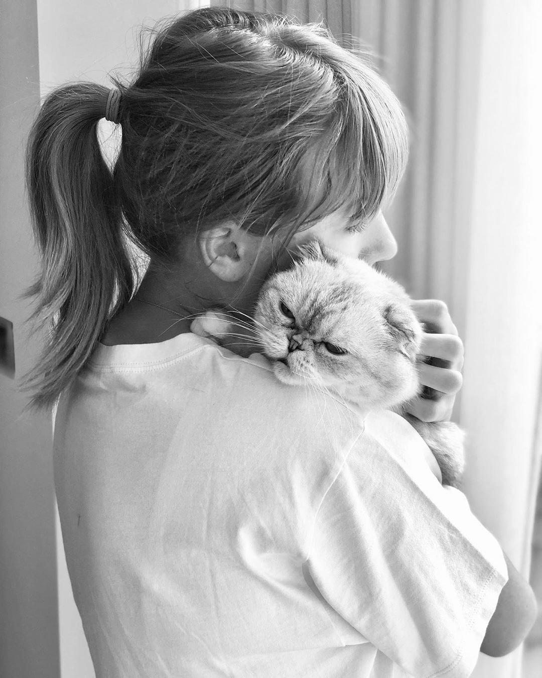 Taylor Swift On Instagram Hug Your Cat Today Or Don T If
