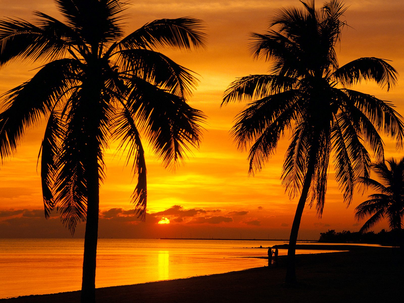 Sunset Key West Florida Cool Background And Wallpaper For