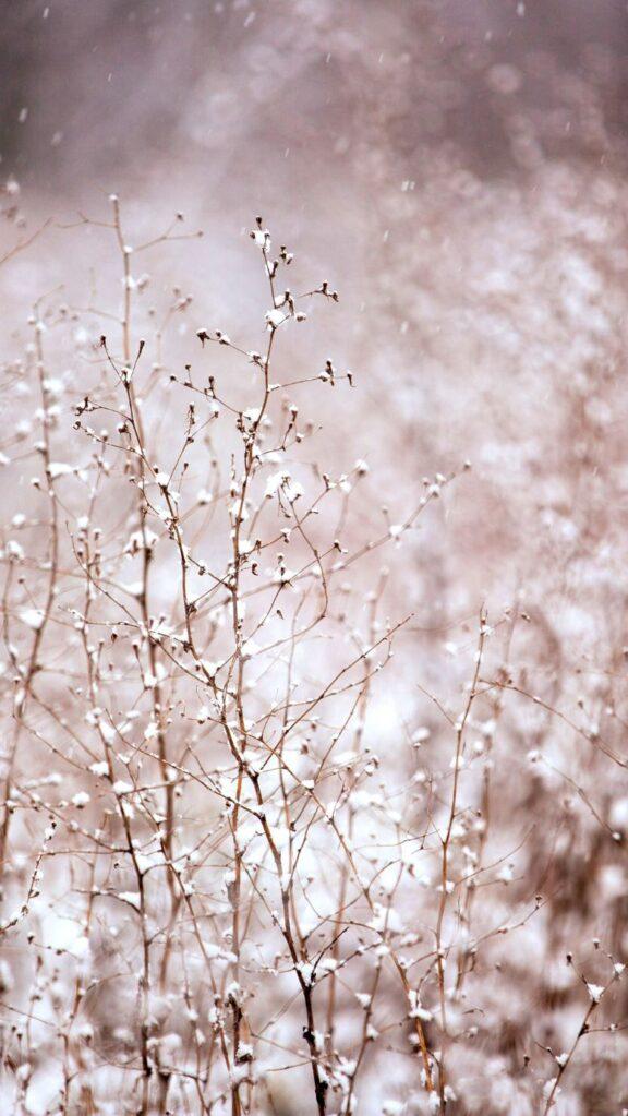 Gorgeous Winter Wallpaper For iPhone