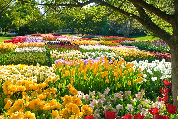 Spring Image Wallpaper And Background