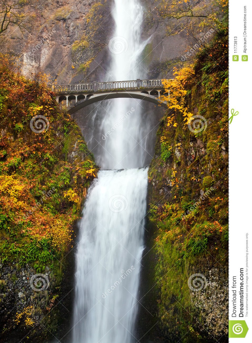  Waterfall Multnomah Falls In Oregon Stock Photos Image 11773813 Pic