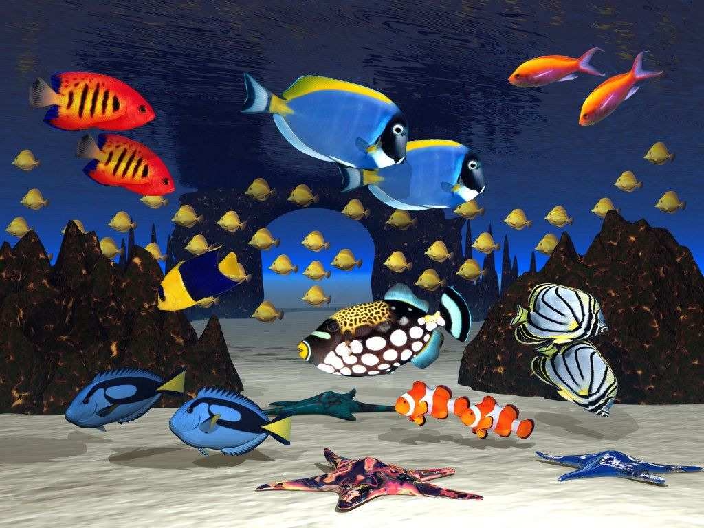 Fish Wallpaper X