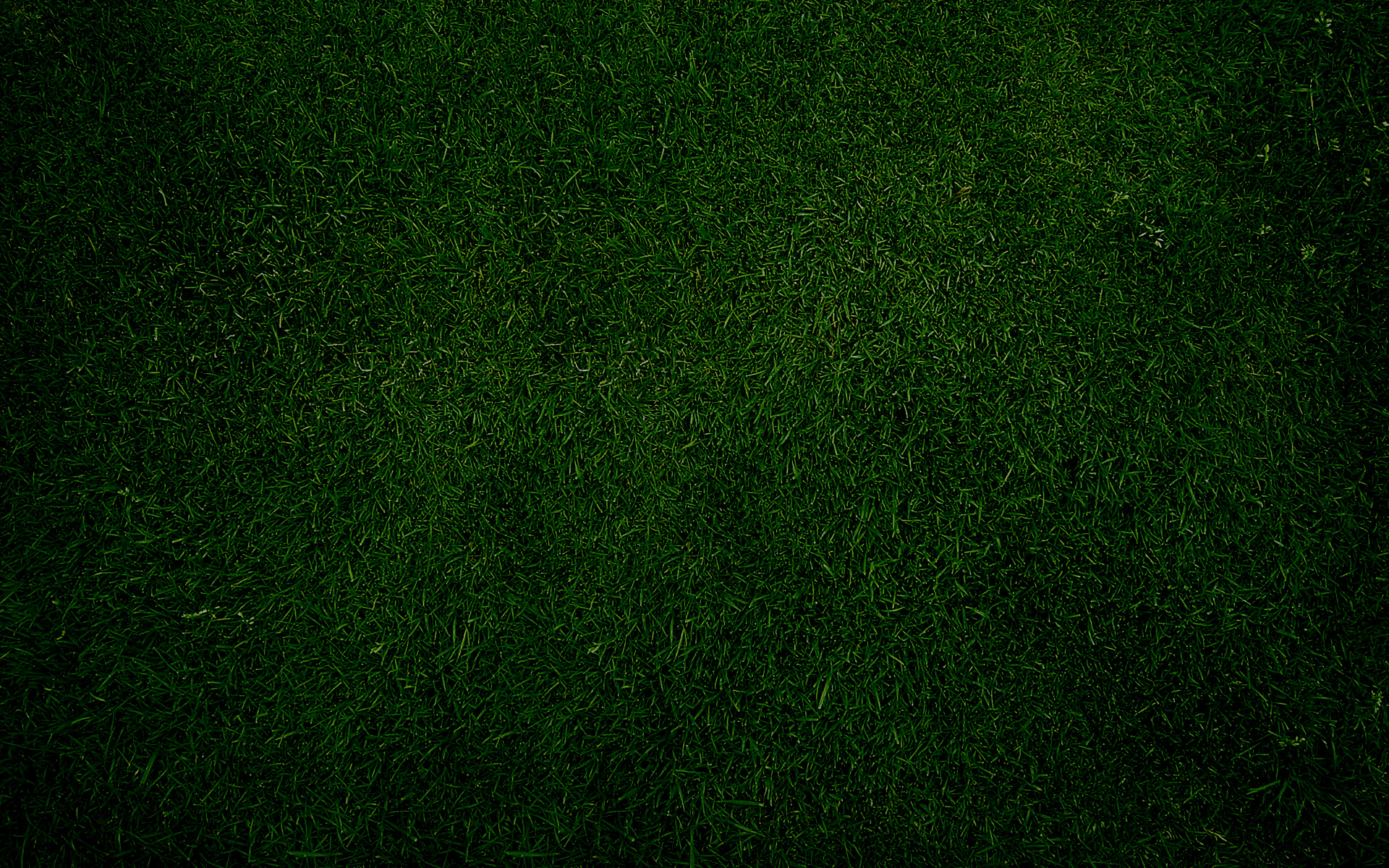 Grass Sniperyu Screensaver Plain Wallpaper Tuesday