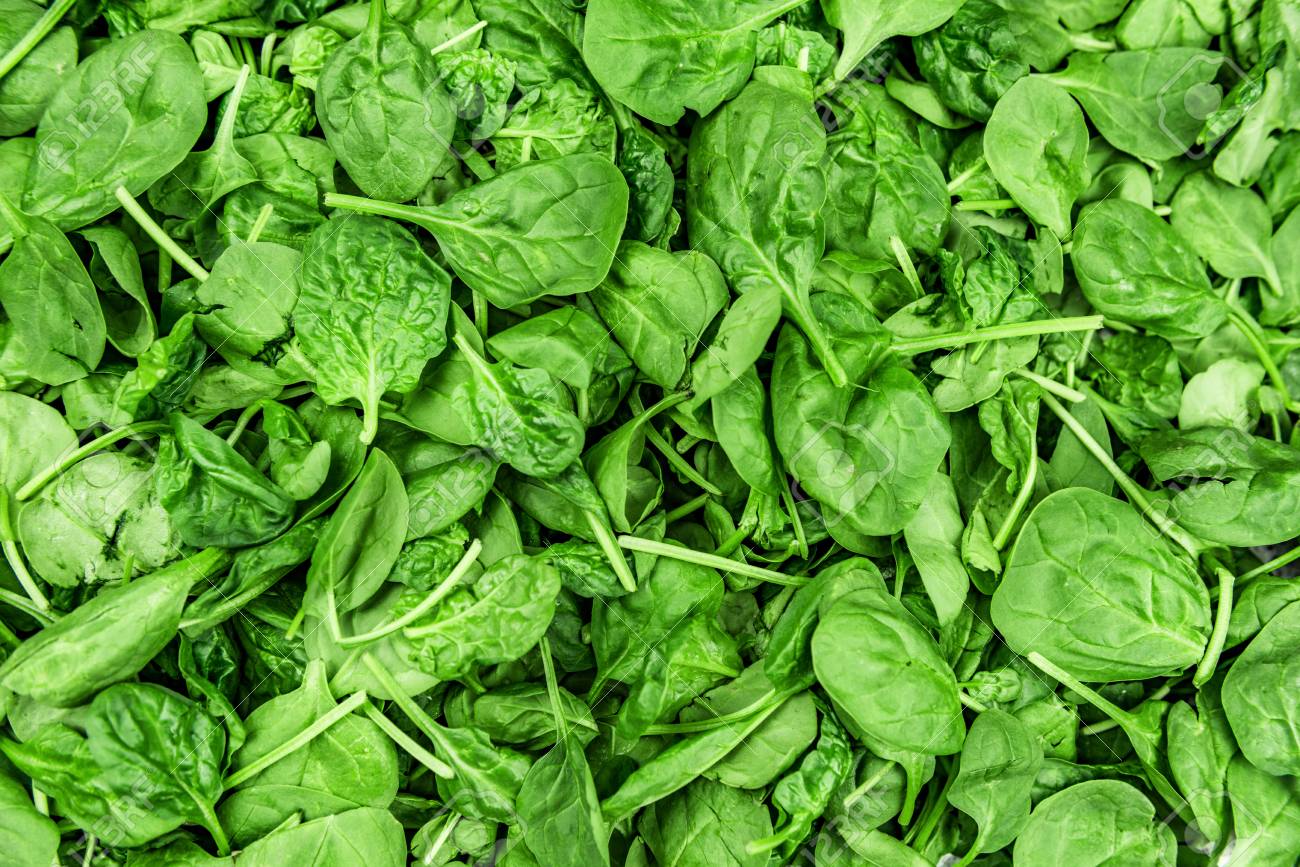 Spinach Leaves Background Green Texture Fresh Baby Leaf Top