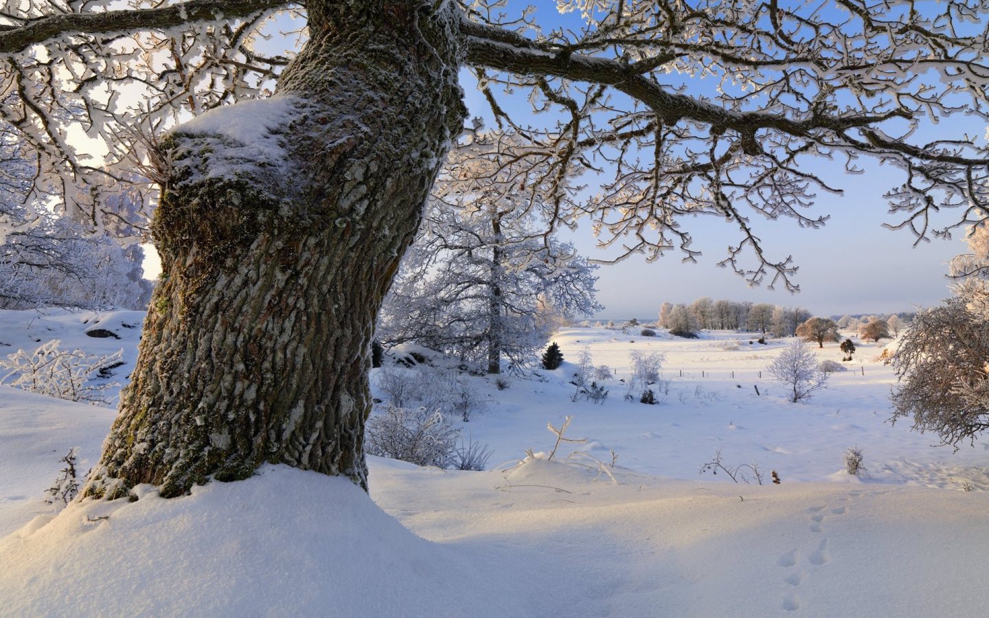 Magnificent Winter Landscape HD Wallpaper Slwallpaper
