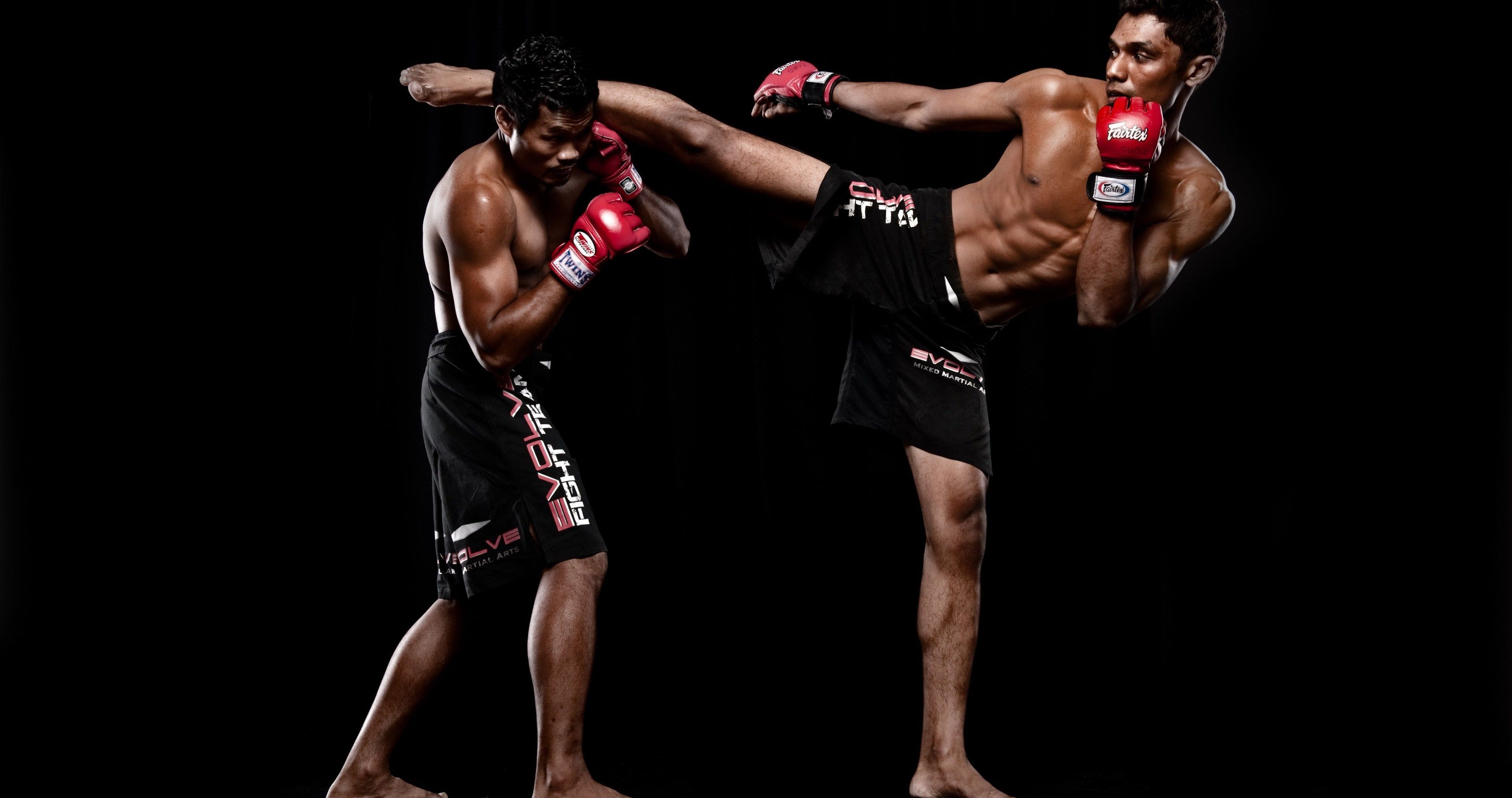 Free Download Mma Fighters 4k Ultra Hd Wallpaper Tatuaje De Gladiador Free Download Mma Fighters 4k Ultra Hd Wallpaper Tatuaje De Gladiador
