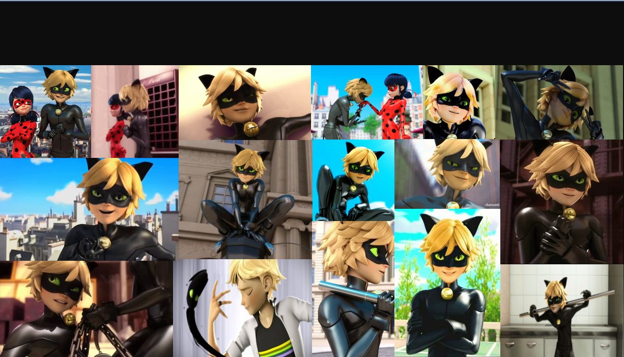 Cat Noir Desktop Wallpaper