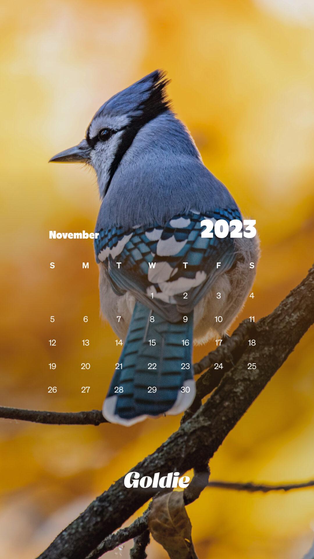 November Wallpaper Calendars Desktop Mobile