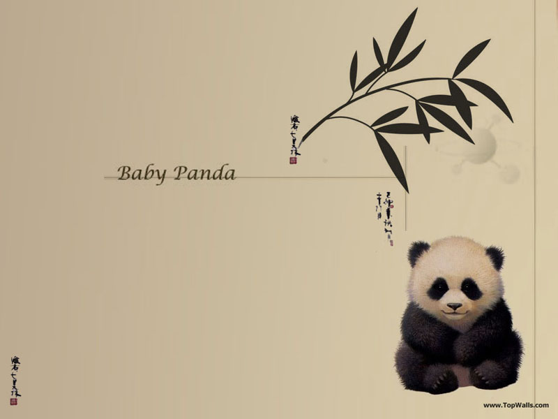 Young Panda Bear In The Grass With Blue Eyes Background, Baby Panda, Panda,  Plant Background Image And Wallpaper for Free Download