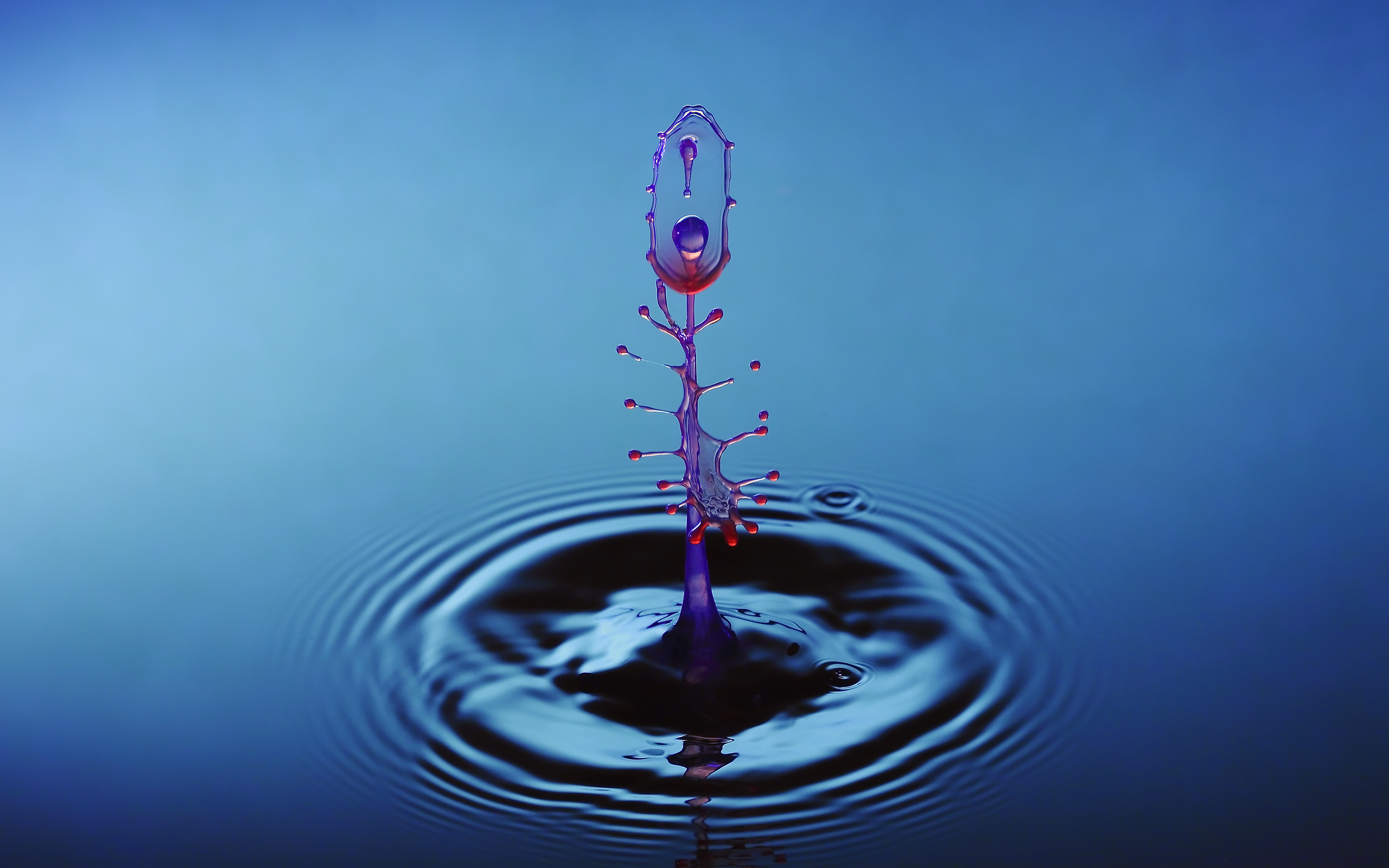 Hq Definition Water Drop HD Wallpaper Archives