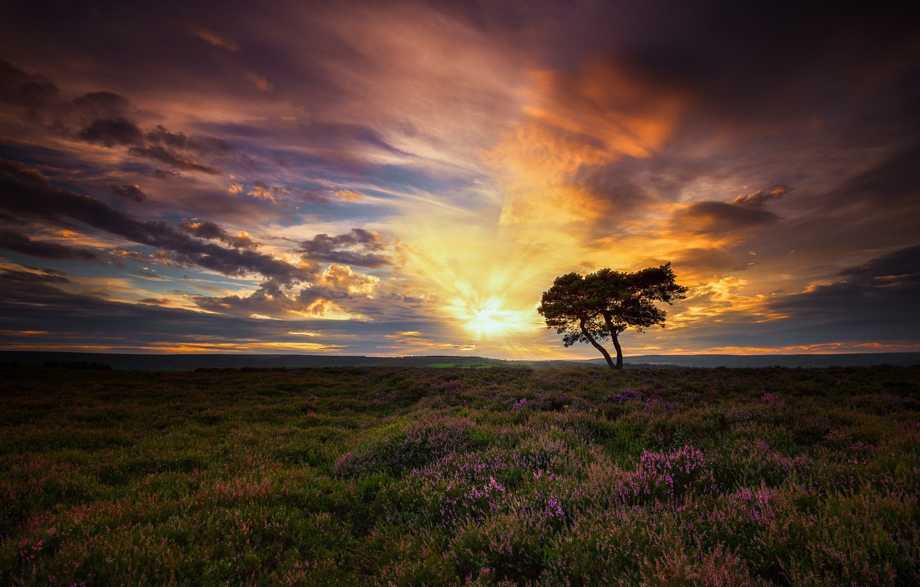 Wallpaper The Sky Clouds Dawn England Morning North Yorkshire
