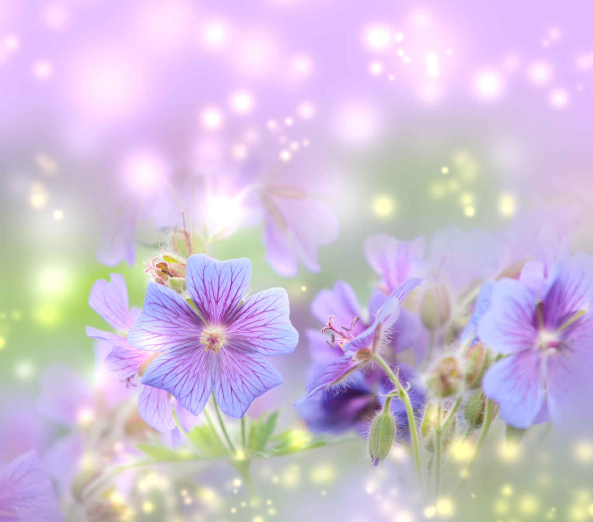 Spring Wallpaper Desktop Hd