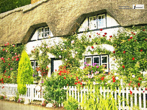English Cottage Garden Wallpaper Photo Sharing