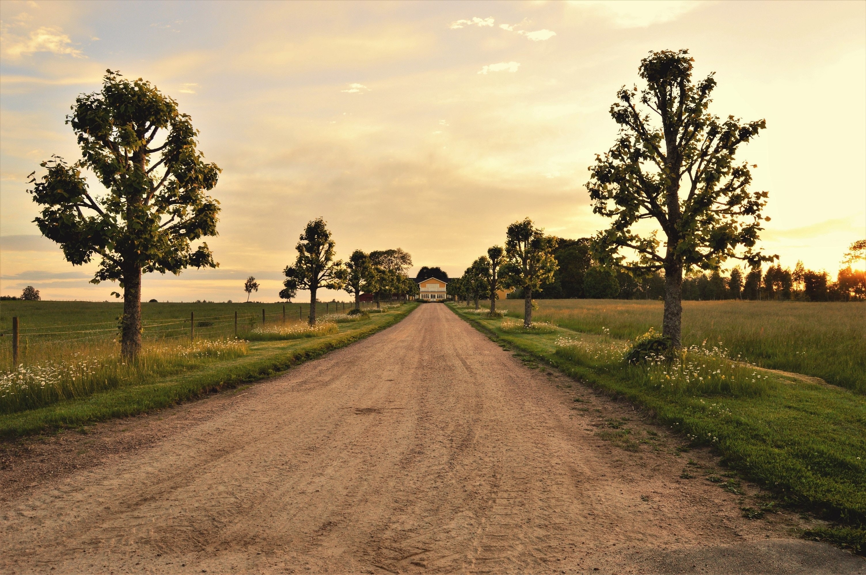 Country Roads Wallpaper