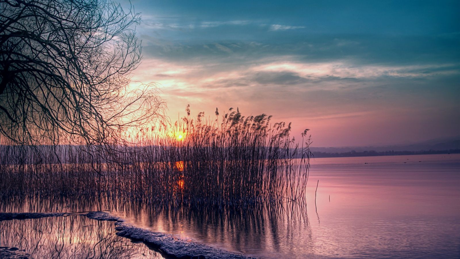 Twilight Beautiful Landscape Quiet Lake Reed Sunset Wallpaper