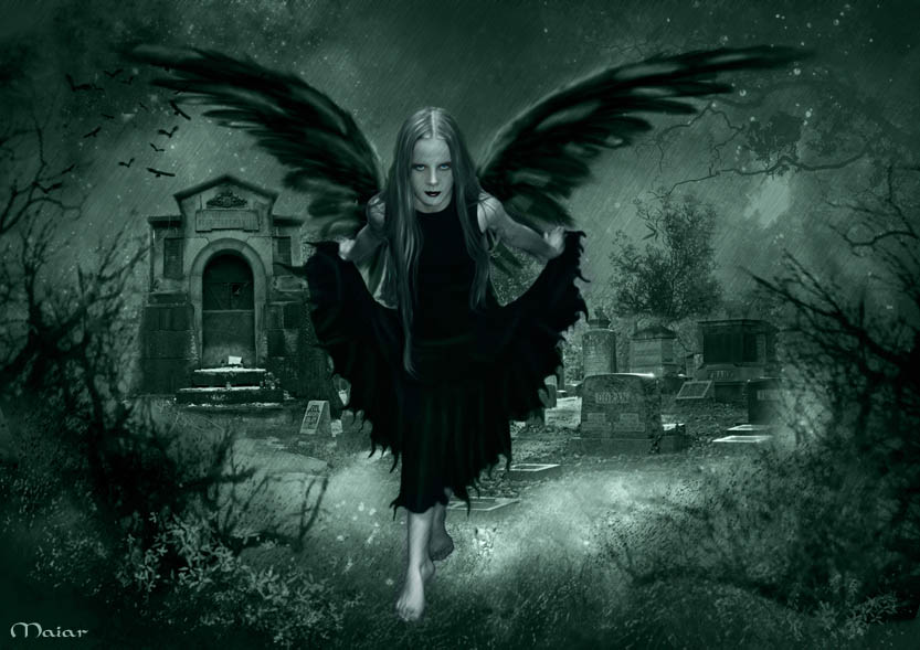 Dark Gothic Fairy Background Wallpaper Here You Can See