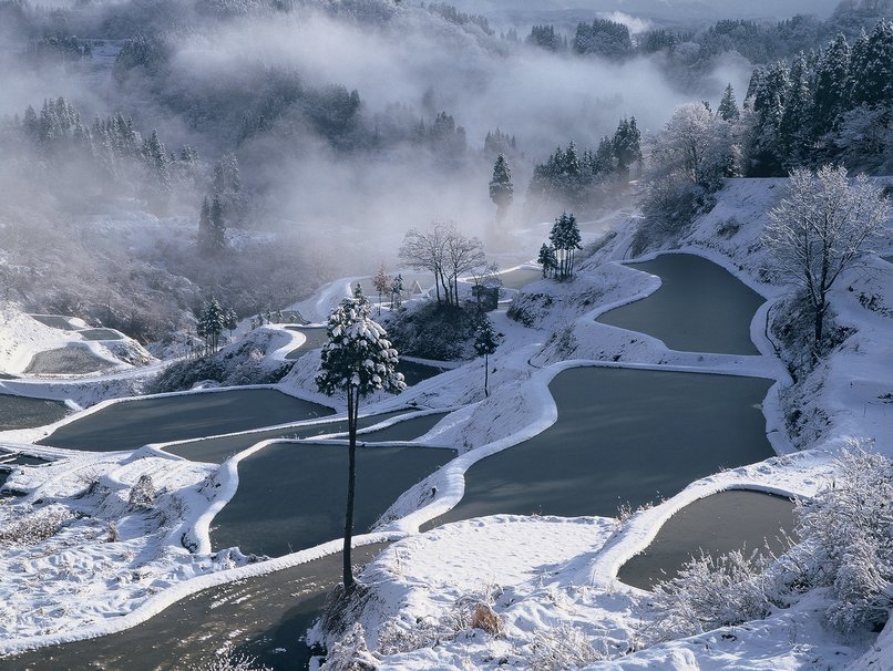 Frozen Ponds Satoyama Wallpaper